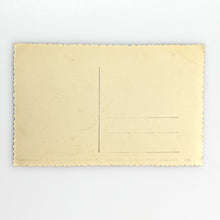 Load image into Gallery viewer, Postal 553 Málaga, Monumento y Calle Larios
