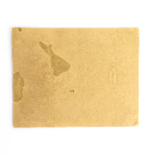 Cargar imagen en el visor de la galería, Archicofradía del Purñisimo Corazón de Maria Invitación
