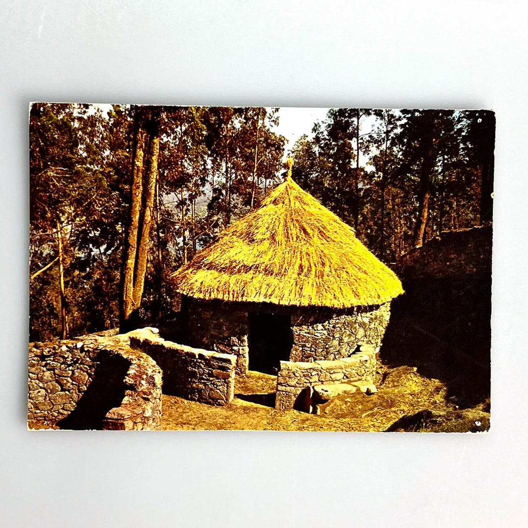 11 La Guardia, Poblado Celta Nº 2