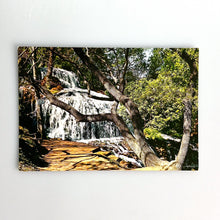 Charger l'image dans la galerie, 37 Montasterio de Piedra, Zaragoza, Cascada de los Fresnos
