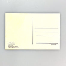 画像をギャラリービューアに読み込む, Otavalo, Ecuador, Festividad Indígena
