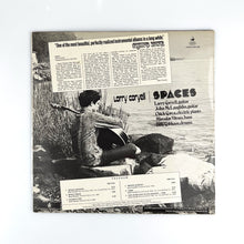画像をギャラリービューアに読み込む, LP. Larry Coryell. Spaces
