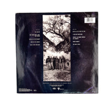 Cargar imagen en el visor de la galería, LP. The Doobie Brothers. Cycles
