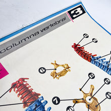 Load image into Gallery viewer, Lámina Jover Columna Vertebral Nº 3

