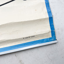 Load image into Gallery viewer, Lámina Jover Corazón y Elementos de la Sangre.  Nº 9
