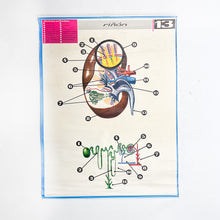 Load image into Gallery viewer, Lámina Jover Riñon Nº 13
